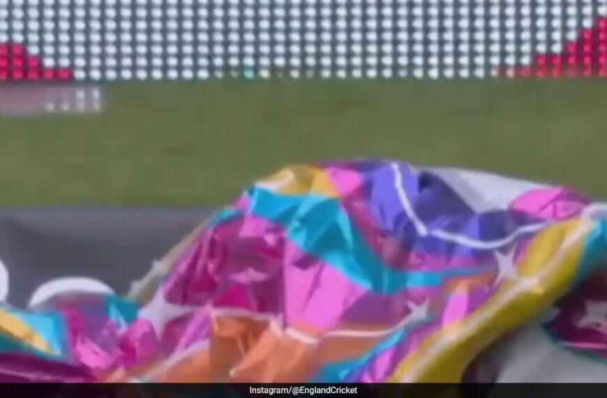 ‘Unicorn balloons stop play’ In second England vs West Indies Test, crowd reaction is pure gold. watch
